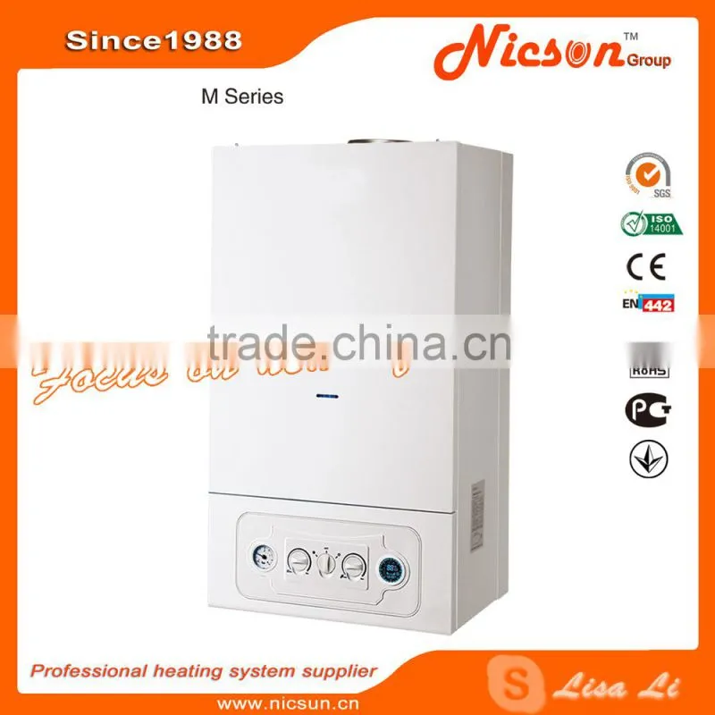 Gas water heater