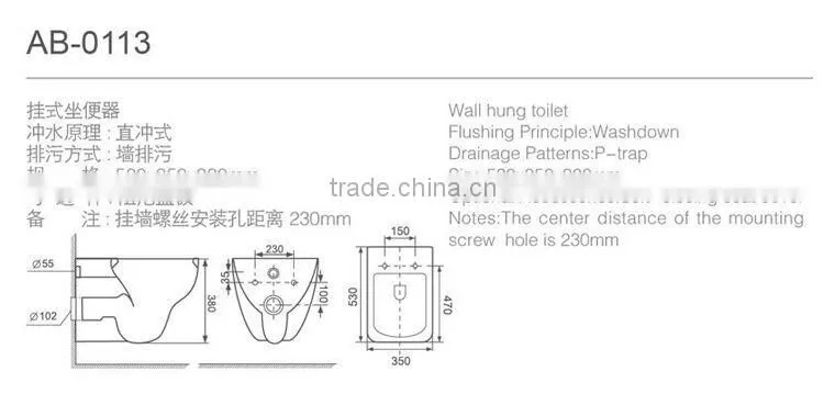 Wall Hung Toilet for Bathroom