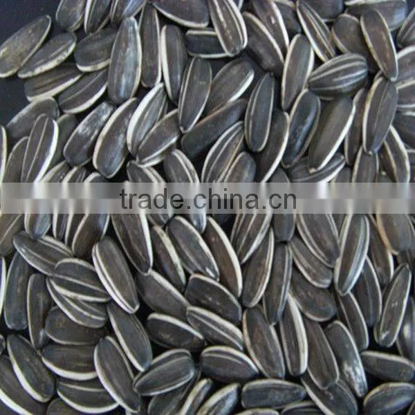 wholesale sunflower seeds 5009 for human consumption