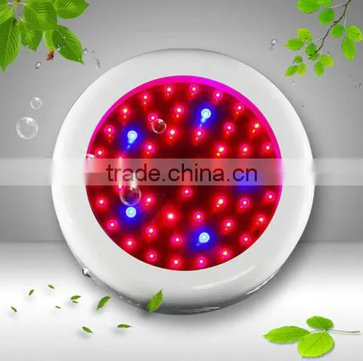 90w horticultural led lighting apollo
