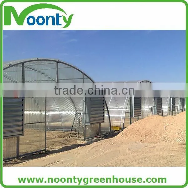 Economical Tunnel Greenhouse