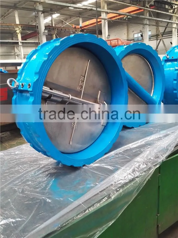 OEM Valve Factory Ductile Iron Y Filter
