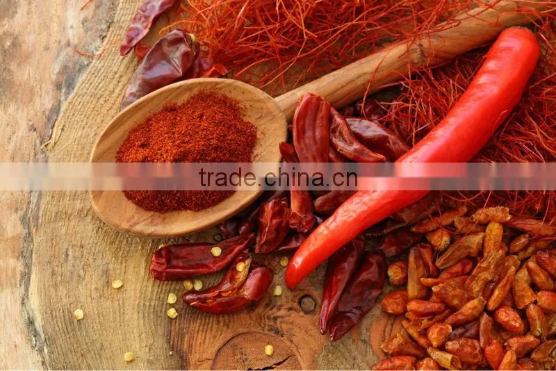 BEST QUALITY HOT CHILI POWDER