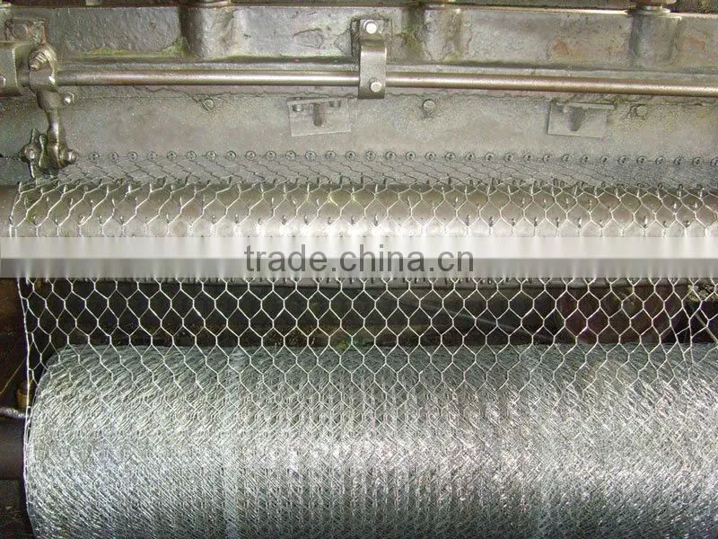 Galvanized hexagonal wire netting