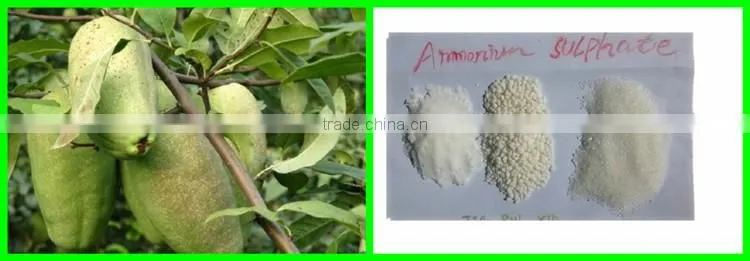 Top grade direct factory ammonium sulphate
