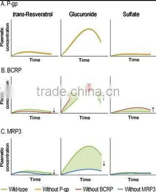 High potency Resveratrol material in bulk