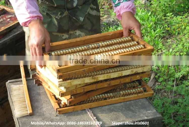 Competitive Price Fresh Organic Royal Jelly 10-hda 1.8%