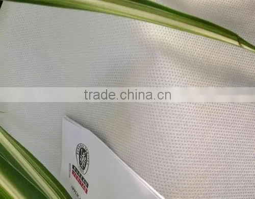 PP SPUNBOND NONWOVEN PASS Oeko-Tex Standard 100