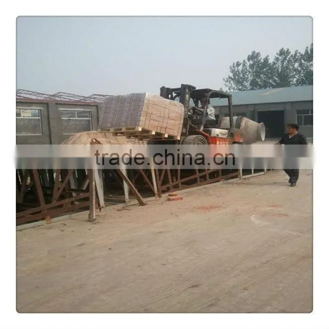 wood common nail/common iron nail/polished common nail factory nail