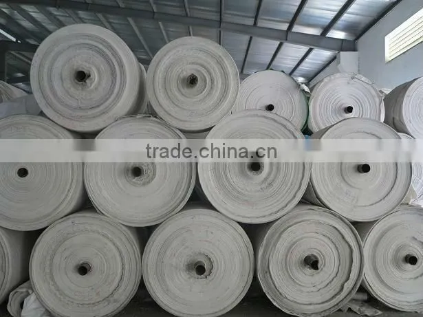 Various designs Laminated PP woven bag