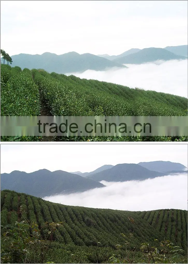 Jinjunmei Black Tea The best black tea health care functions and strong taste