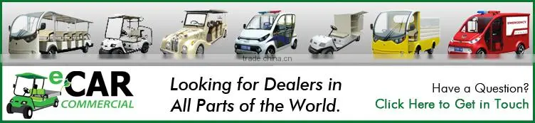 Golfers Special Series New Electric Golf Cart Manufacturer