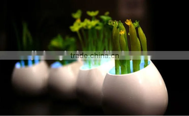 ShenZhen Potted Plants LED Night Light