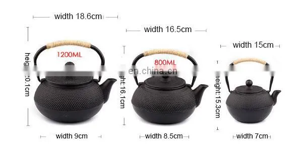 Pumpkin Tea Kettle with 2 Cups Japanese Tea Set with Stainless Steel Infuser Enamel Tetsubin Chinese Cast Iron Teapot Pot Set