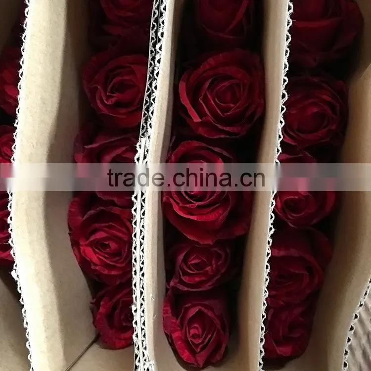 Fresh color hot selling fresh red rose with leaves and stem
