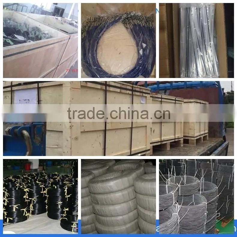 Bicycle / Motorcyle Brake Cable with Inner Wire
