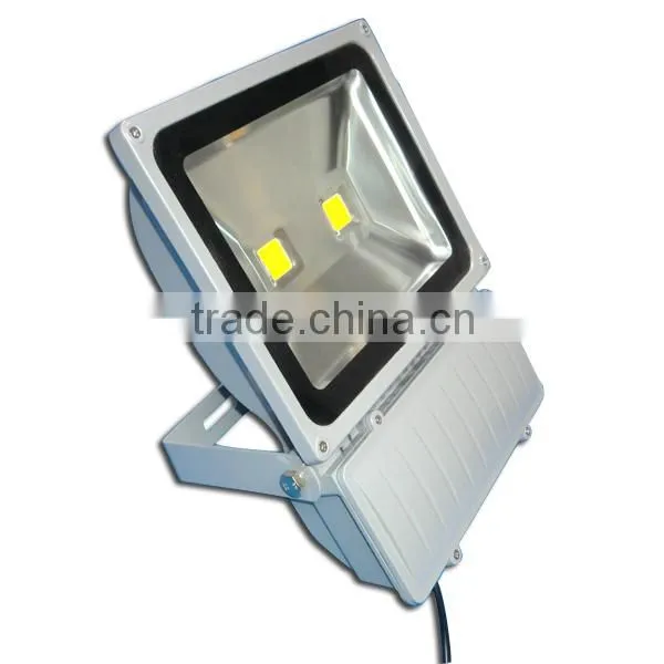 Powerful Outdoor Decorative COB 50w cool white led flood light