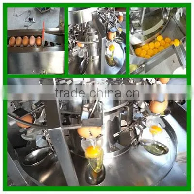 automatic eggs breaking machine/egg breaker
