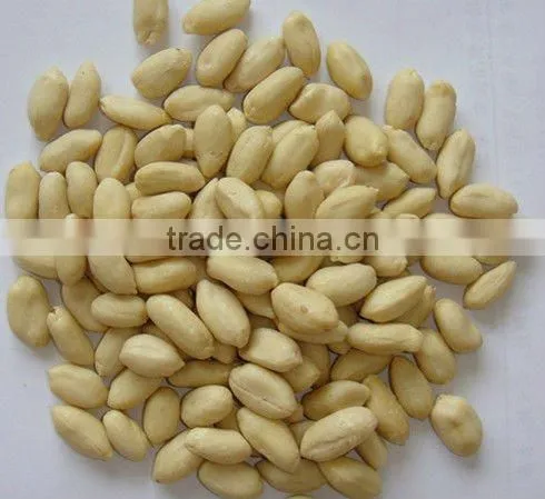 Best price blanched peanut kernel