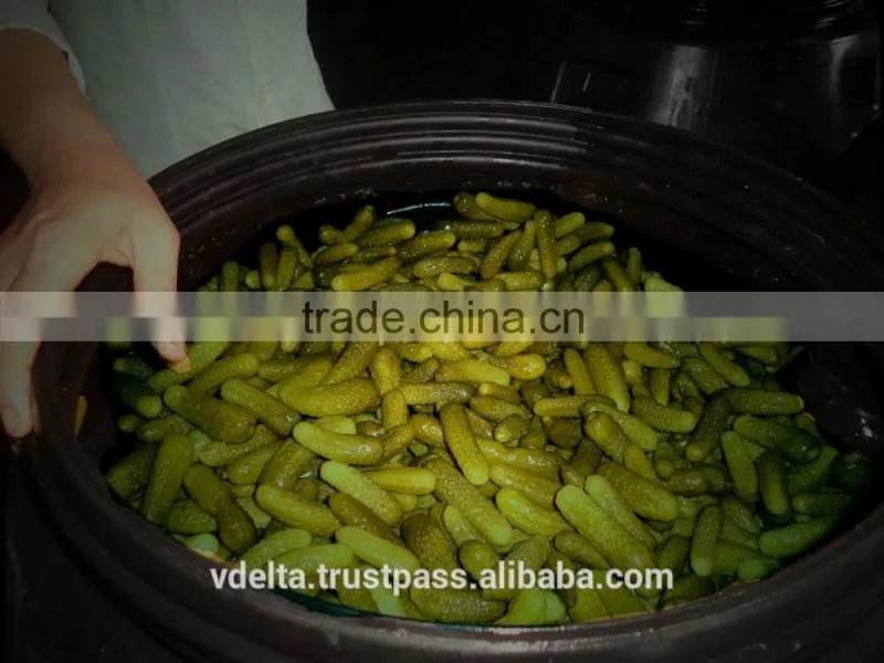 cornichons in barrel