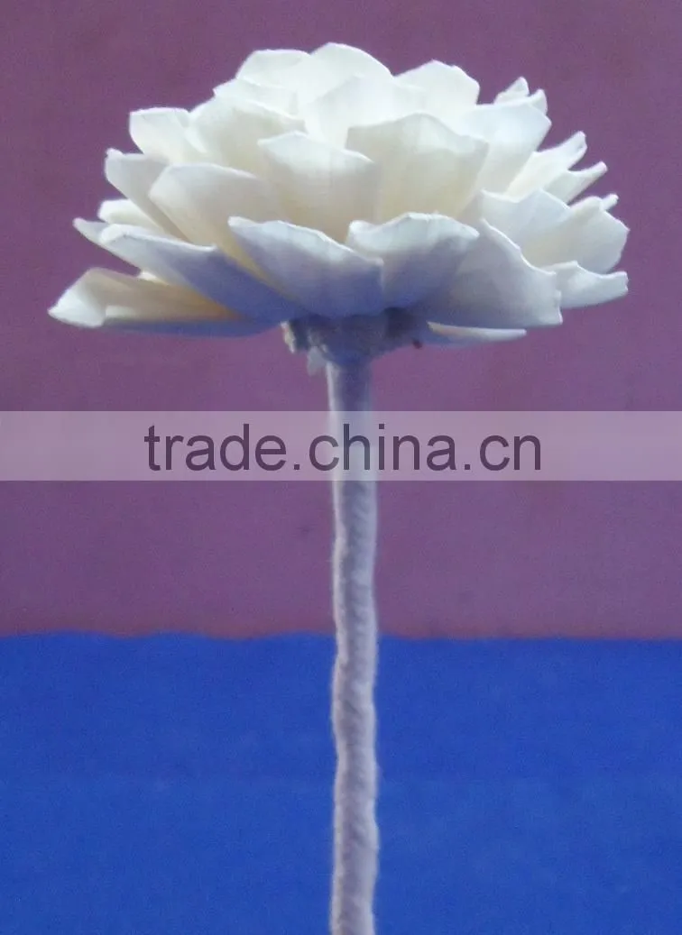 Flower for decoration