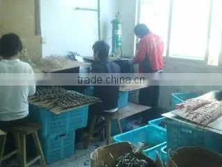 Taizhou City Jiaojiang Zheshang Glasses Factory company overview - view 1