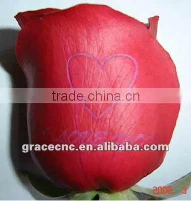 metal and nonmetal cutting laser machine G1325