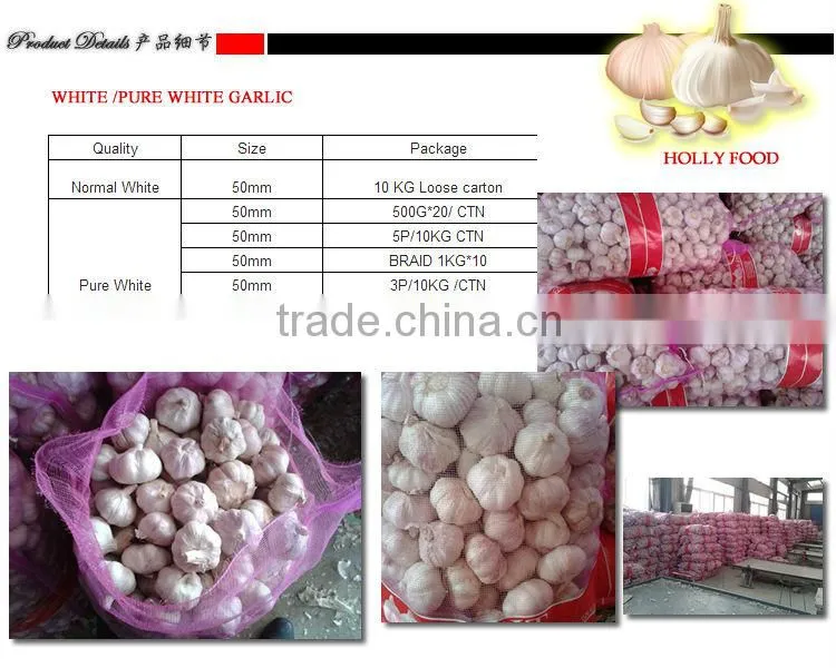 3P MESH BAG 10KG packings CARTON normal white Russia East Europe fresh garlic middle east Pakistan 5.5CM 6.0 CM