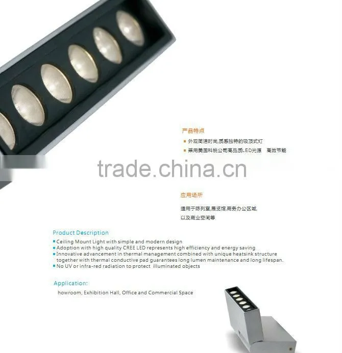 Adjustable High Power Led Ceiling Light With CREE LED