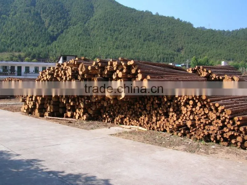 interior decorative wood paneling 4x8