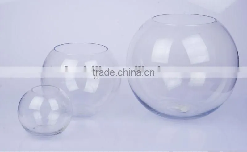home decoration glass vase with competitive price