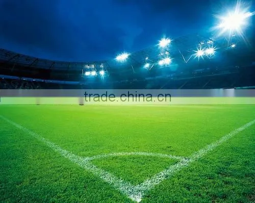 10W Led Flood Light