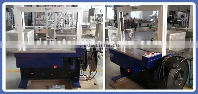 Automatic Carton Packager
