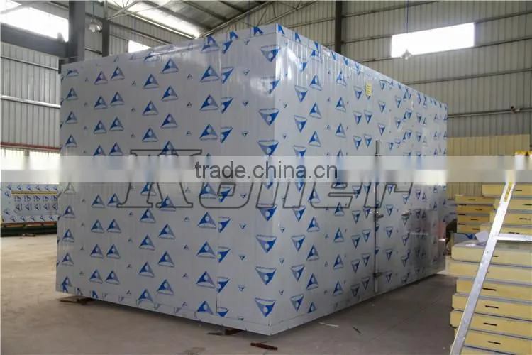 Koller cold storage room freezer for Meats/ fishes/ ice block/ fresh flowers