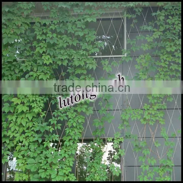 Stainless Steel Ivy Screen Cable Mesh