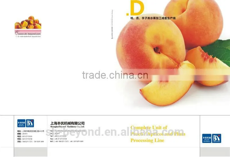 Complete Apricot Fruit Processing Line