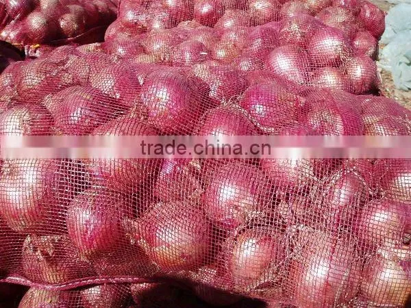 2012 xihua Fresh Red Onion