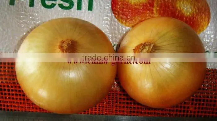 Fresh Small Onion ( low price)
