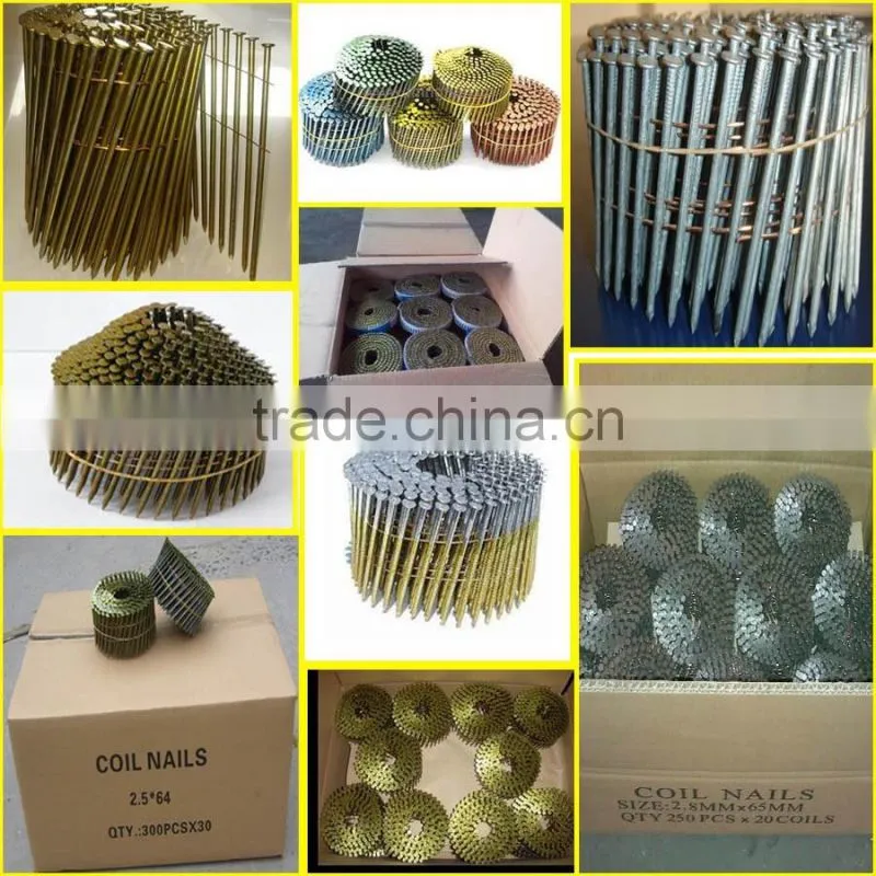 wire coil nails