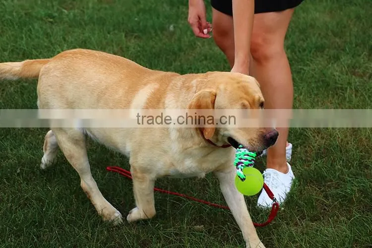 Dog Toys, Cotton Dental Teaser Rope Chew Toy