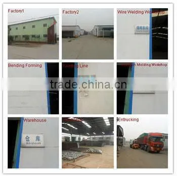 Sports stainless steel Chain Link Fence