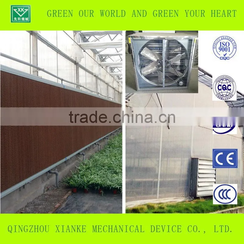 Multi-Span Commercial Agricultural Greenhouse sales