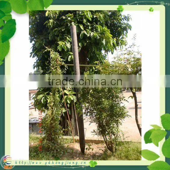 plastic plant round stakes
