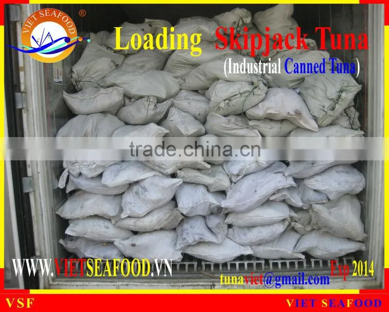 LOADING FROZEN SKIPJACK TUNA W/R