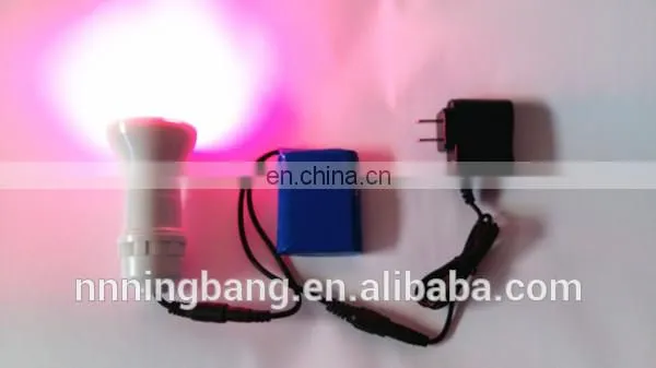 Ningbang hot sale White PVC Inflatable Balloon