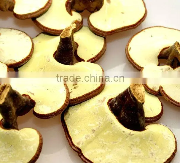 Duan Wood Reishi,Ganoderma lucidum