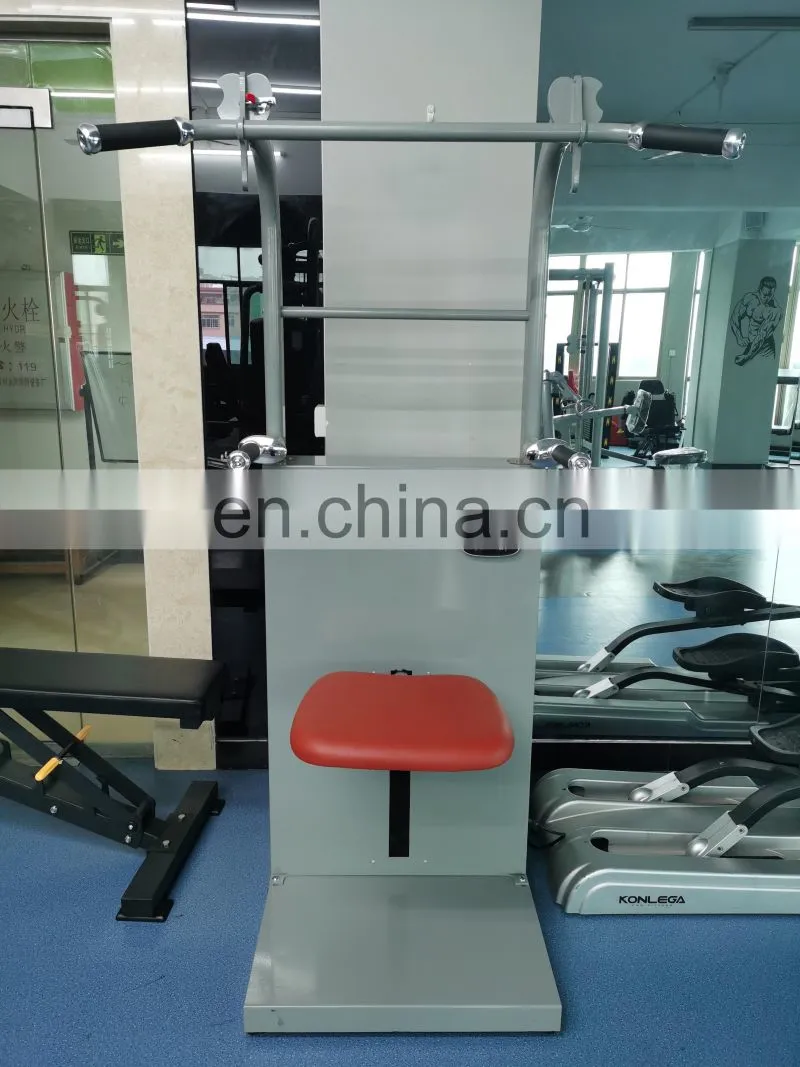 vertical knee raise /arm exercise fitness equipment