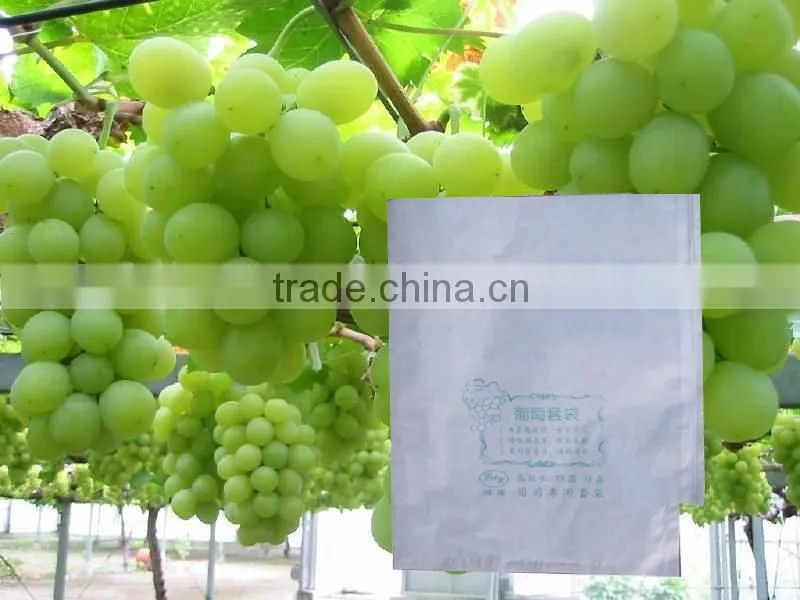 Grape growing paper bag for agriculture