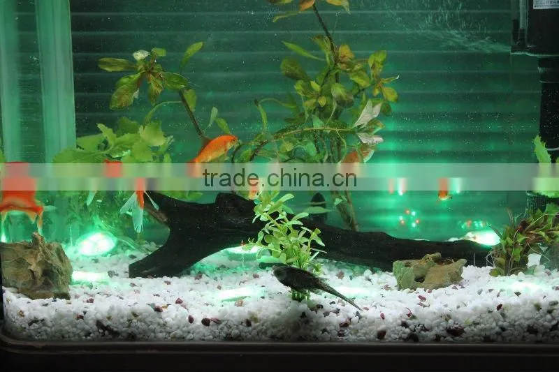 Low Voltage LED aquarium lighting