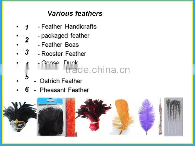 High Quality Real Natural Ostrich Feathers, decorative feathers wholesale